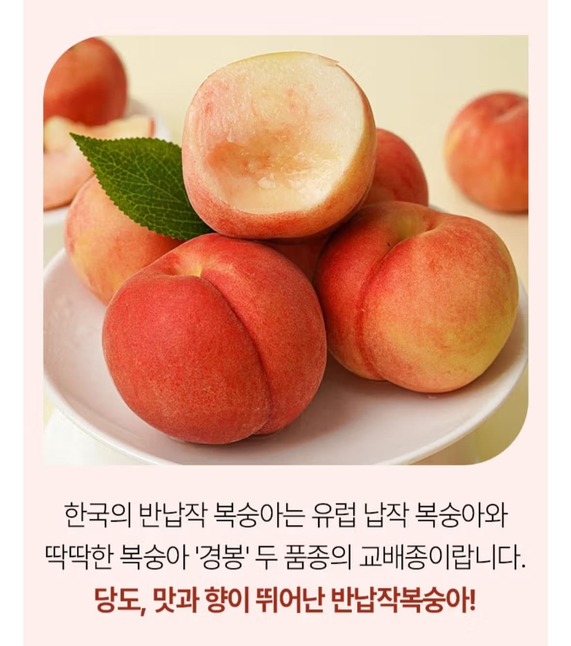 [cj온스타일] 대극천 복숭아 1kg (9,900원/무배)