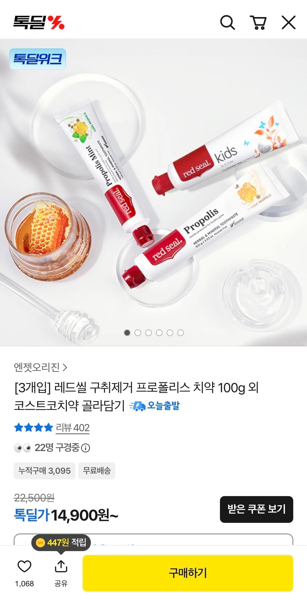 [톡딜] 레드씰 프로폴리스 치약 100g 3개 (14,900원/무료)