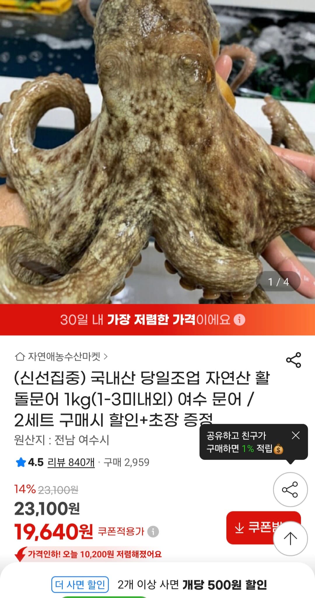 [지마켓] 국내산 당일조업 돌문어 1kg 1~3미 (19,635원/무료)