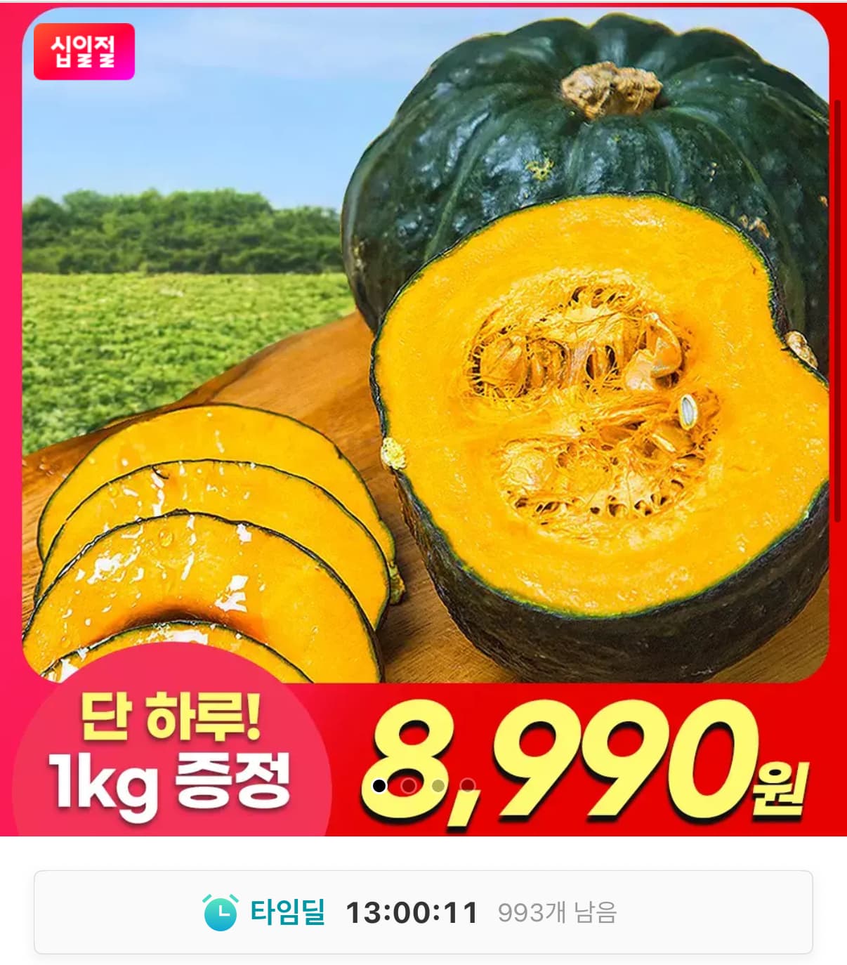 [11번가] 제주 미니 밤호박 보우짱 3kg (8,990원/무배)