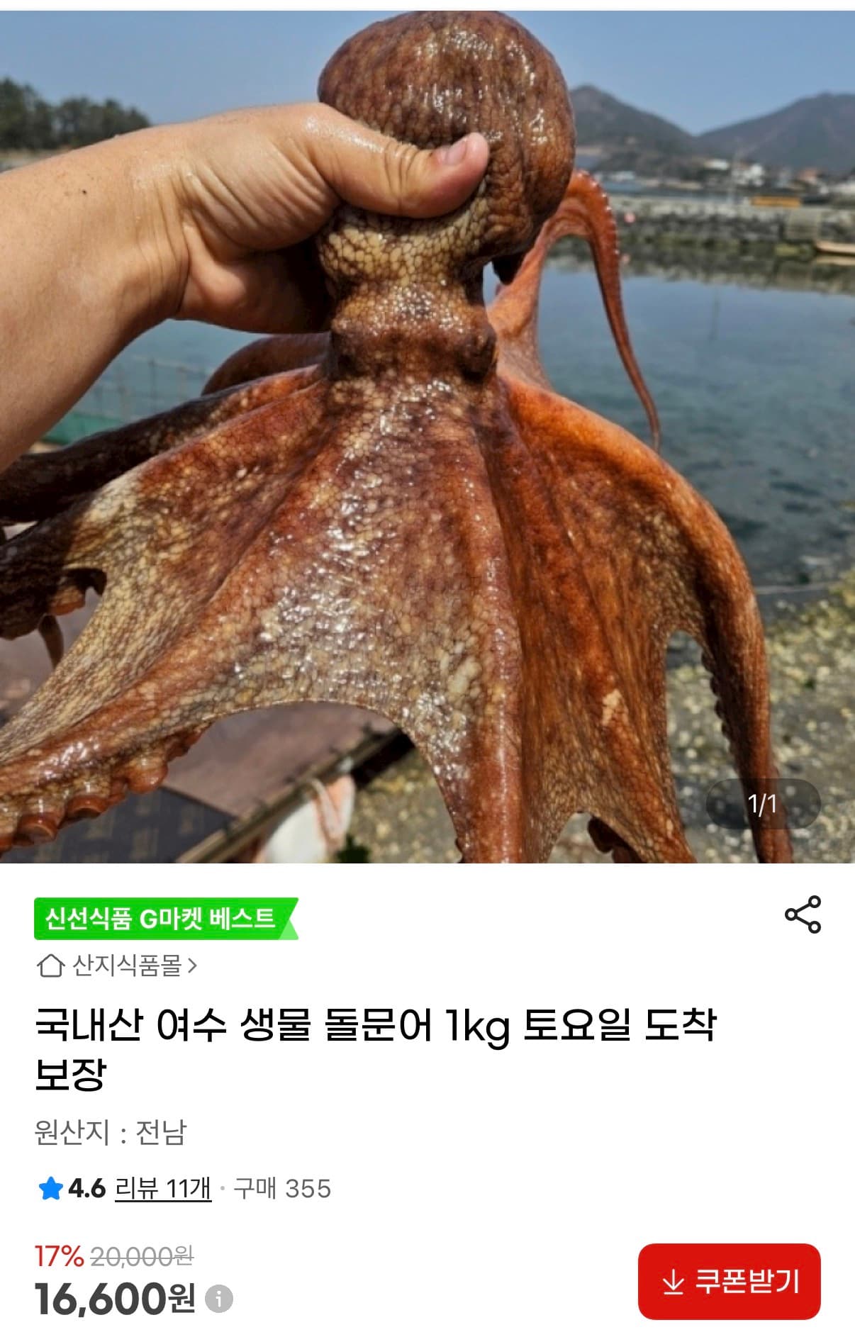 [지마켓] 국내산 여수 생물 돌문어 1kg (16,600원/무배)