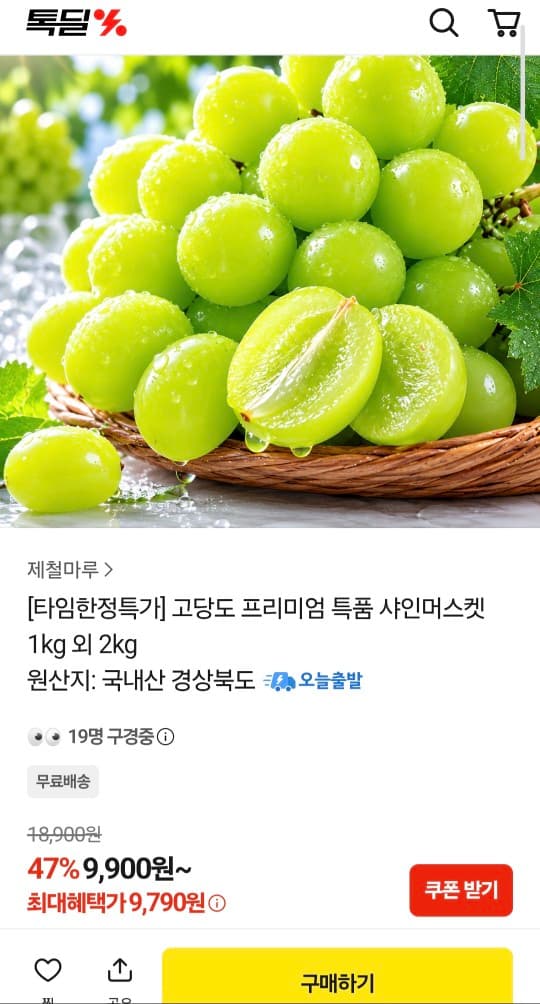 [카카오쇼핑] 고당도 샤인머스켓 특품 1kg 2수 (9,790원/무료배송)