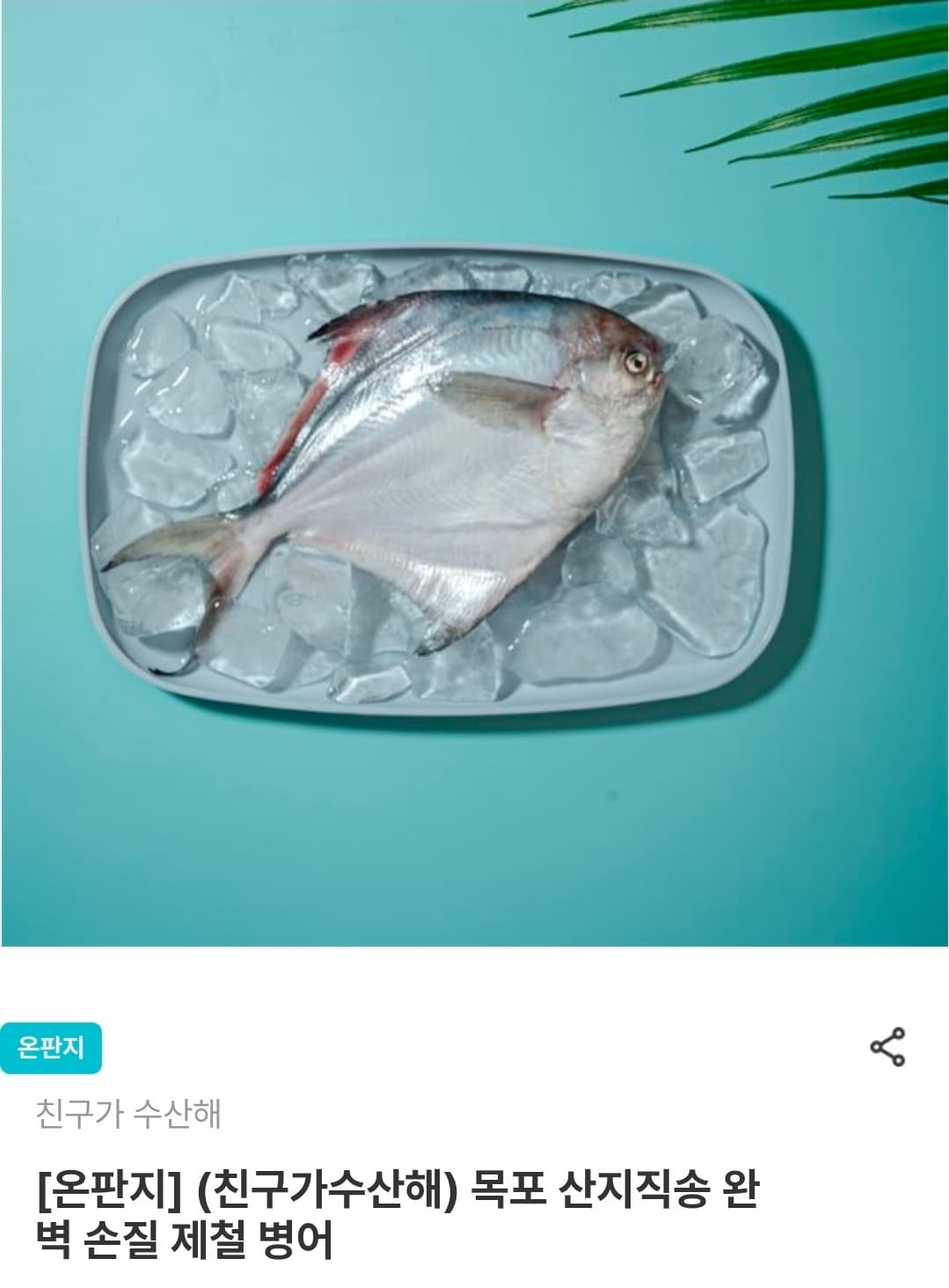 [남도장터] 목포 산지직송 완벽 손질 제철 병어 (25,130원~/무료)
