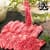 [옥션]미국산 소갈비살 1kg (26,450원/무료배송)