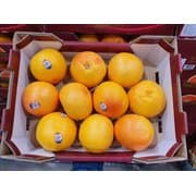 자몽1박스 (3.5KG이상) 원산지 : 상품에표기 (14,990원)
