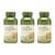 GNC 보스웰리아 450mg(100캡슐) 3통 (67,860원 / 무료배송)