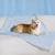 : 40"x50" Bedsure Cooling Pet Blanket Mat w Breathable Air-Core Fill ($24.99 / (약: 38,694원))