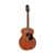 ESP Takamine: 14 Guitars & Bags ($226.85 / (약: 349,280원))