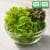 친환경 GAP 무농약 부여 유러피안 샐러드 채소 1kg 800g 550g (4,020원 / 무료배송)