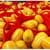 성주참외 가정용 몬난이 참외10kg(실중량9kg) 농협카드 6,510원 (7,230원 / 무료배송)