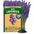 1500 HOME GROWN Non GMO English Lavender Seeds ($5.30 / (약: 8,002원))