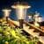8-Pk BUCASA Outdoor IP65 Solar Pathway Lights ($51.98 / (약: 78,188원))
