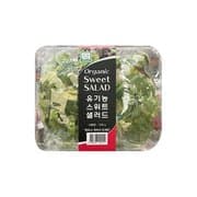 유기농 유러피언샐러드 (540G) (5,790원)