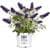 2-Gallon Proven Winners Pugster Buddleia True-Blue Flowers ($14.99 / (약: 22,215원))