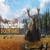 theHunter: Call of the Wild (4,300원 / 무료배송)