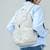 브랜든 여행용 세이프 플러스 백팩, W 30cm x H 43cm x D 15cm (86,000원/로켓배송) (무료배송)