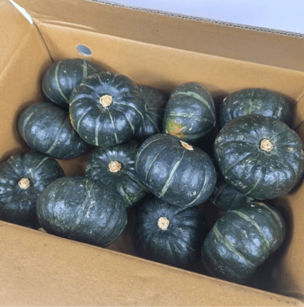 또치네농산 국내산 미니 단호박, 3kg, 1박스 (6,210원 / 무료배송)