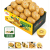 제스프리 점보 골드키위 1.4kg (증정)1set+스푼 / 2set 2알 덤+피규어 합포장 (12,500원 / 무료배송)