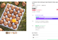 [넾다세일]난각번호1번 계란 유정란 20구 달걀 무항생제 자연방사 (9,900원 / 배송 3,000원)