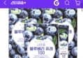 100% 내츄럴 블루베리 퓨레 15포 x 3박스 45포 (16,900원 / 배송 무료)