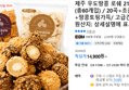 제주 우도땅콩 로쉐 210g 1+1 (총60개입) / 20곡+초콜릿+땅콩토핑가득 (14,900원 / 배송 무료)