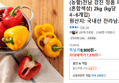 전남 강진 정품 파프리카(혼합색상) 2kg (kg당 4~6개입) (7,370원 / 배송 무료)