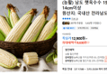 (농활) 남도 햇옥수수 15개입 14cm이상 (20,237원 / 배송 무료)