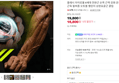 플레시 자이로볼 4세대 전완근 손목 근력 강화 운동기구 악력 팔 근육 팔씨름 오토볼 챌린지 상완요골근 클립 (18,800원 / 배송 무료)
