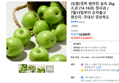 (농할)경북 썸머킹 실속 2kg 소과 (14-16과) 청사과 / 7월13일부터 순차출고 (8,290원 / 배송 무료)