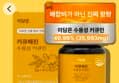 강황 수용성 커큐민 4개월분 (7,900원 / 배송 무료)