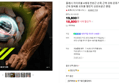 플레시 자이로볼 4세대 전완근 손목 근력 강화 운동기구 악력 팔 근육 팔씨름 오토볼 챌린지 상완요골근 클립 (18,800원 / 배송 무료)