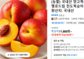 (농할) 국내산 망고복숭아 옐로드림 천도복숭아 2kg (8,570원 / 배송 무료)
