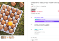 난각번호1번 계란 유정란 20구 달걀 무항생제 자연방사 (8,900원 / 배송 3,000원)