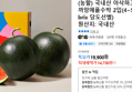 (농할) 국내산 아삭하고 달콤한 까망애플수박 2입(4~5kg ,11 brix 당도선별) (14,730원 / 배송 무료)