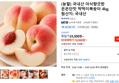 (농할) 국내산 아삭향긋한 은은단맛 딱딱이복숭아 4kg (18,080원 / 배송 무료)