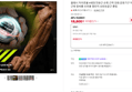 플레시 자이로볼 4세대 전완근 손목 근력 강화 운동기구 악력 팔 근육 팔씨름 오토볼 챌린지 상완요골근 클립 (18,800원 / 배송 무료)