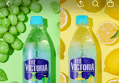 39%할인!!더 빅토리아, 청포도맛, 500ml, 20개 + 레몬맛, 500ml, 20개 (16,400원 / 배송 무료)