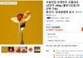 수원맛집 보영만두 군쫄세트(군만두 480g+쫄면 2인분/맛 선택 가능) (15,500원 / 배송 무료)