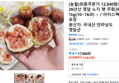 (농할)최종쿠폰가 12,840원!! 26년산 영암 노지 햇 무화과 1kg(10~16과) ~ / 아이스팩 포장 (12,810원 / 배송 무료)