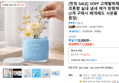 [런칭 SALE] VOFF 고체탈취제 코튼향 실내 냄새 제거 방향제 (2개 구매시 베개패드 사은품 증정) (12,800원 / 배송 무료)