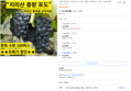 [초특가]지리산 산지직송 초고당도 씨없는 충랑포도, 1박스, 1.5kg (29,500원 / 배송 무료)
