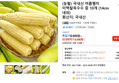 (농할) 국내산 여름별미 미백찰옥수수 중 10개 (14cm 내외) (6,690원 / 배송 무료)