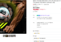 플레시 자이로볼 4세대 전완근 손목 근력 강화 운동기구 악력 팔 근육 팔씨름 오토볼 챌린지 상완요골근 클립 (18,800원 / 배송 무료)
