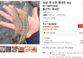 26년 첫 신안 활새우 1kg 35~40미내외 (22,900원 / 배송 무료)