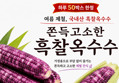 (하루 50박스 한정특가) 국산 강원도 흑찰옥수수 특품 30개 (19,900원 / 배송 무료)