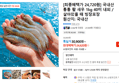 [최종혜택가 24,720원] 국내산 통통 활 새우 1kg 40미 내외 / 살아있을 때 빙장포장 (24,620원 / 배송 무료)