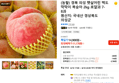 (농할) 경북 의성 햇살어린 백도 딱딱이 복숭아 2kg 로얄과 7-8과 (11,170원 / 배송 무료)