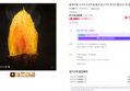 블랙라벨 고구마 프리미엄 황금 꿀고구마 엿구마 (28,900원 / 배송 무료)