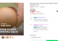국내산 난각번호1번 유정란 무항생제 자연방목 계란 20구 (7,120원 / 배송 무료)