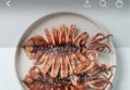 33%할인 포항 구룡포 반건조 오징어, 500g 내외, 10마리 (14,490원 / 배송 무료)
